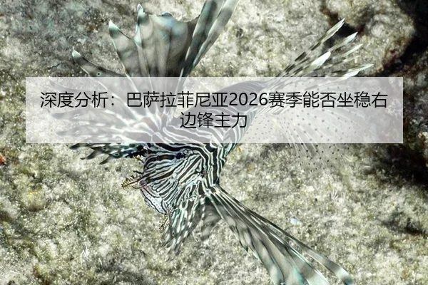 shen-du-fen-xi-ba-sa-la-fei-ni-ya-sai-ji-neng-fou-zuo-wen-you-bian-feng-zhu-li-2-377.jpg